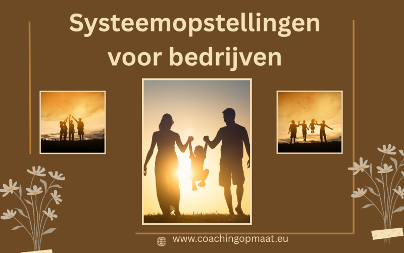 Systeemopstellingen voor bedrijven: Bouw aan een Sterkere Organisatie met Diepgaand Inzicht